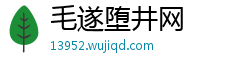 毛遂堕井网